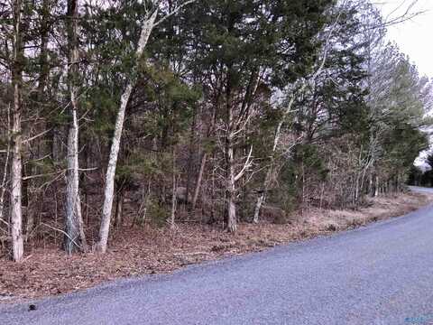 1 Bettinger Mountain Road, Union Grove, AL 35175