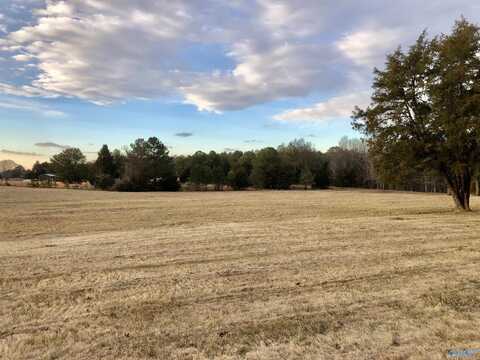 3.43 Hwy 36, Laceys Spring, AL 35754
