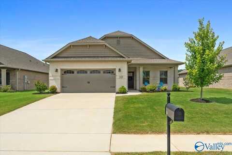 123 Caspian Lane, Meridianville, AL 35759