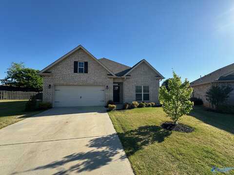 341 River Rock Drive, Madison, AL 35756