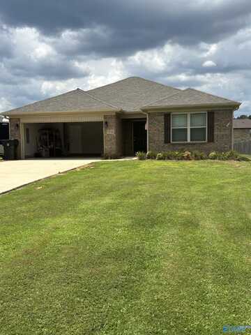 1316 Mount Lebanon Road, Toney, AL 35773