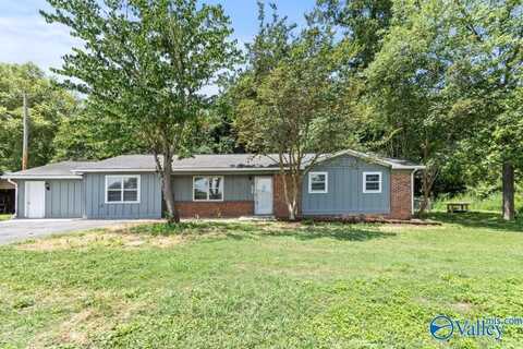 234 Mcdonald Lane, Guntersville, AL 35976