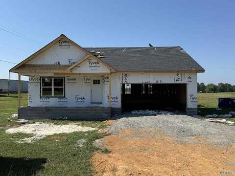 23 NW Mitchell Drive, Rainsville, AL 35978
