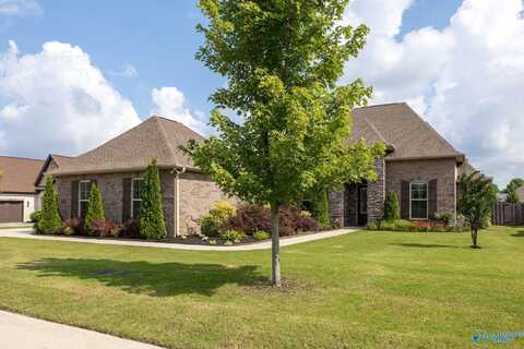 122 Hilltop Ridge Drive, Madison, AL 35756