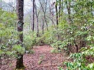 5.922 Ac Fisher Field Road, Blairsville, GA 30512