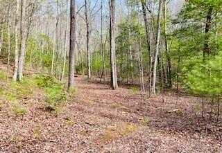6.88 Ac Fisher Field Road, Blairsville, GA 30512
