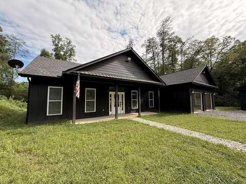 415 Autumn Ridge Drive, Mineral Bluff, GA 30559