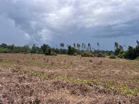 0 Sunflower Rd LOT 5, St Matthews, SC 29135