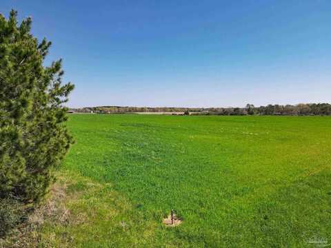 5872 S State Hwy 99, Mc David, FL 32568