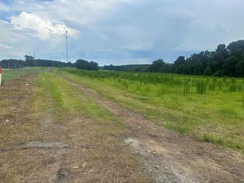 00 South Main Street, Brundidge, AL 36010