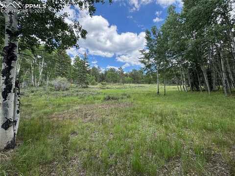 117 Vagabond Creek Terrace, Lake George, CO 80827