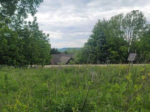 2 Moraine, GALENA, IL 61036