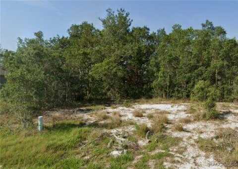 244 Begonia Lane, Poinciana, FL 32621