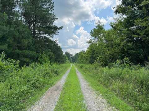 Lot 1 Stroud Lane, Centertown, KY 42328