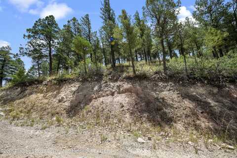 109 Quail Drive, Ruidoso Downs, NM 88346