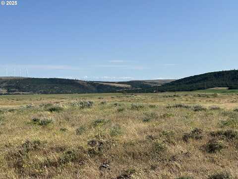 BICKLETON HWY, Goldendale, WA 98620