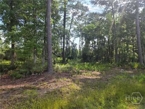 2.30 Ga-196 Highway, Hinesville, GA 31313