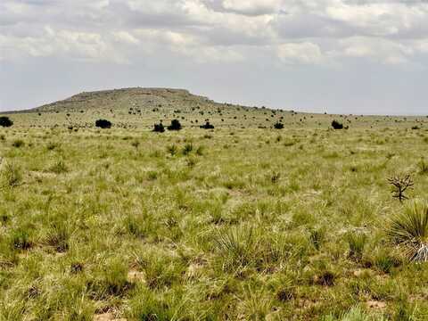 Martinez Pintada Ranch, Santa Rosa, NM 88435