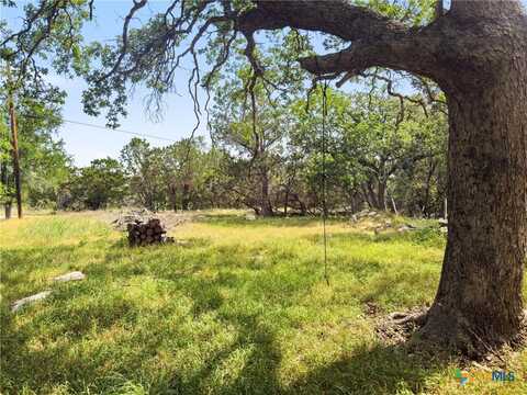 2525 Cypress Gardens Boulevard, Spring Branch, TX 78070