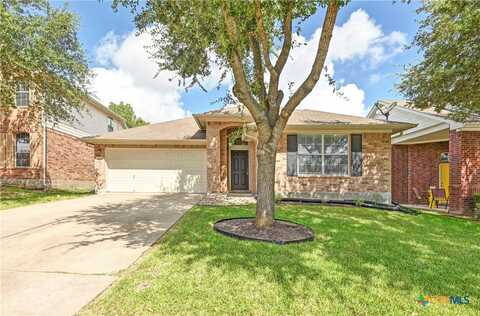 1691 Stone Rim Loop, Buda, TX 78610