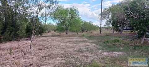 31099 FM 1575, Los Fresnos, TX 78566