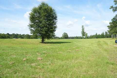 xxx Hwy 583, Jayess, MS 39641