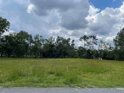 00 Forest Hill Circle, Vidalia, GA 30474