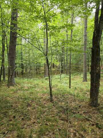 38 Algonquin Trail, Jay, NY 12941