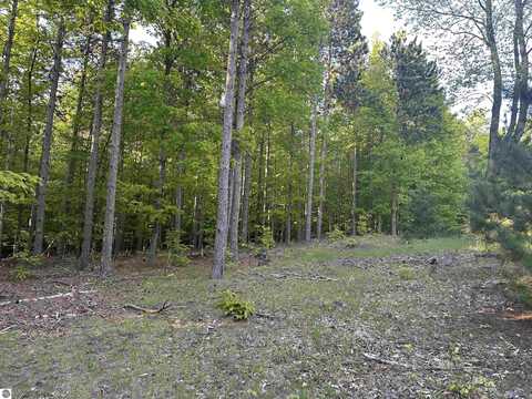 Parcel 8 Karnes Road, Glen Arbor, MI 49636