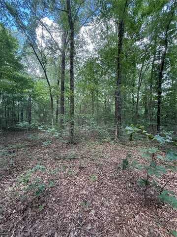 US HWY 64, Atkins, AR 72823