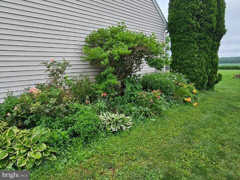 410 CHESTNUT TREE ROAD, ELVERSON, PA 19520