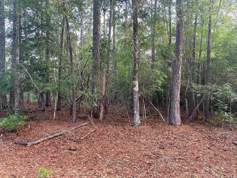 Lot 2 BUCKEYE, Village Mills, TX 77663