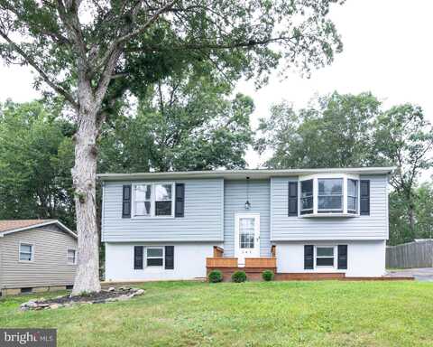 242 IRISHTOWN ROAD, NORTH EAST, MD 21901
