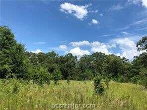 9825 County Road 173, Iola, TX 77861
