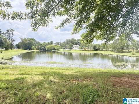 512 WATERSTONE DRIVE, MONTEVALLO, AL 35115