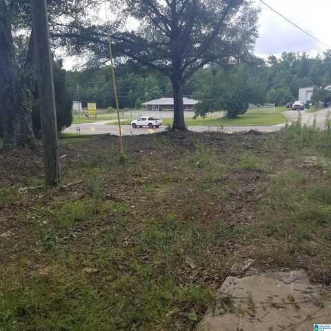11284 US HIGHWAY, RIVERSIDE, AL 35135