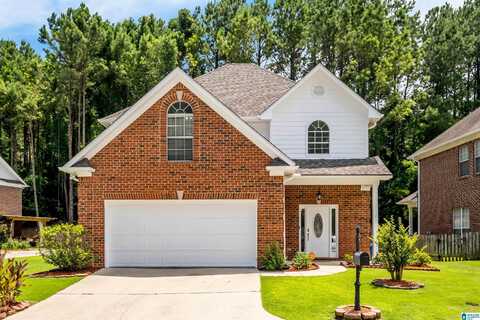 813 CASTLEMAINE COURT, BIRMINGHAM, AL 35226