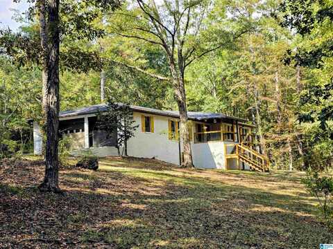 7005 DRY CREEK ROAD, PELL CITY, AL 35128