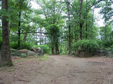 1307 Dodd Mtn. Rd., Shirley, AR 72153