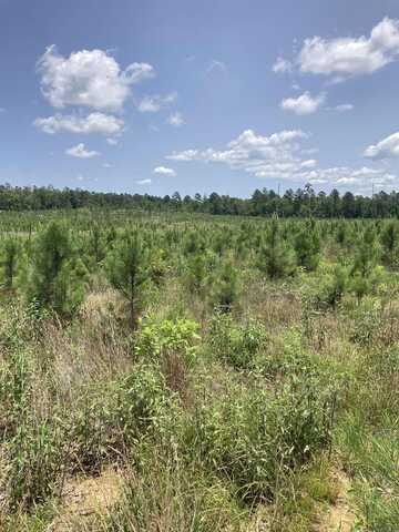 1400 BLOCK OF Beaudry Circle, Jessieville, AR 71949