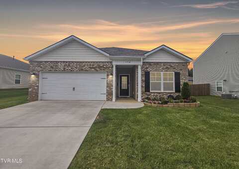 1496 Raccoon Lane, Piney Flats, TN 37686