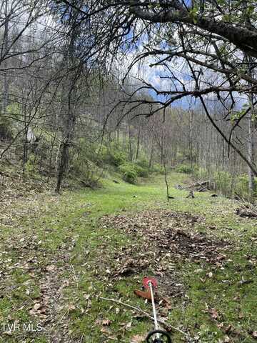 Crabtree Hollow, Clintwood, VA 24228