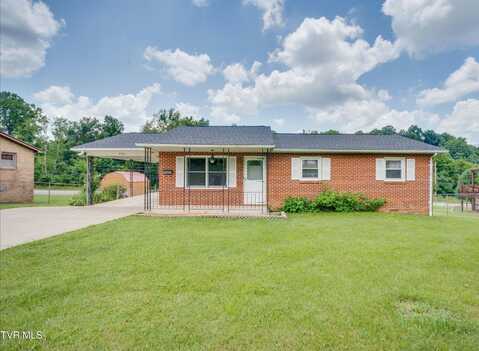 704 Georgia Street, Johnson City, TN 37601
