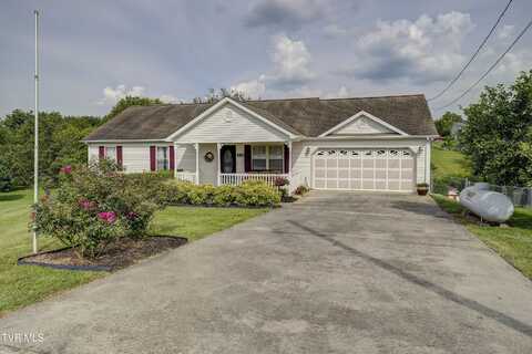 2146 Buttercup Lane, Limestone, TN 37681