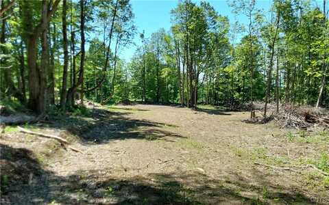 1273 Newport Gray Road Road, Norway, NY 13416