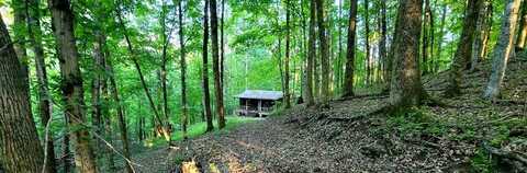 329 HILLTOP, GAINESBORO, TN 38562