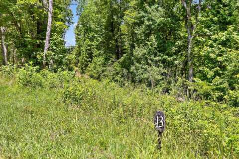 2310 Mt Olive Road, Lookout Mountain, GA 30750