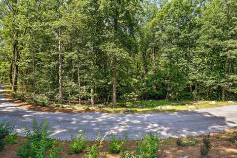0 Maple Leaf Trail, Lookout Mountain, GA 30750