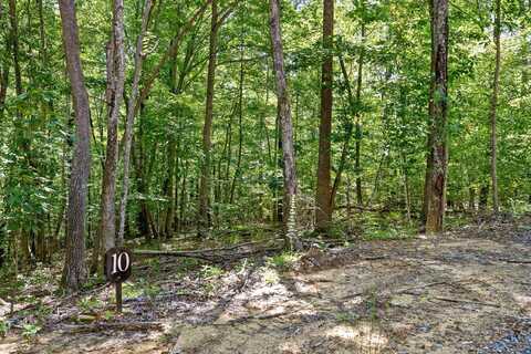 0 Maple Leaf Trail, Lookout Mountain, GA 30750