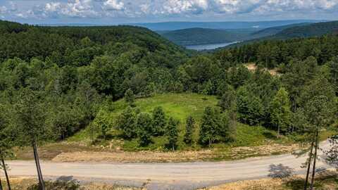0 Birds Eye Way, Guild, TN 37340
